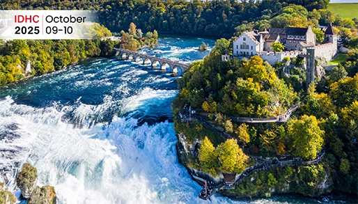 Rhine Falls in Switzerland
