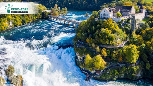 Rhine Falls in Switzerland